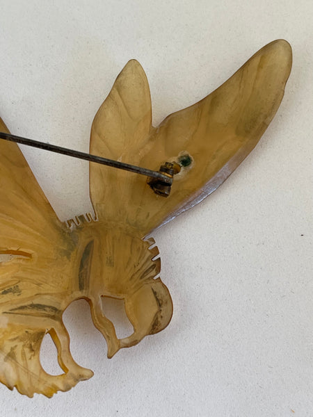 Art Nouveau Carved Horn Hornet Brooch Bonte