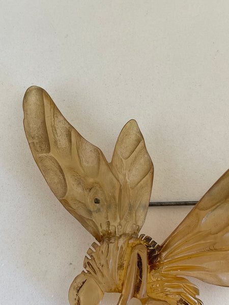 Art Nouveau Carved Horn Hornet Brooch Bonte